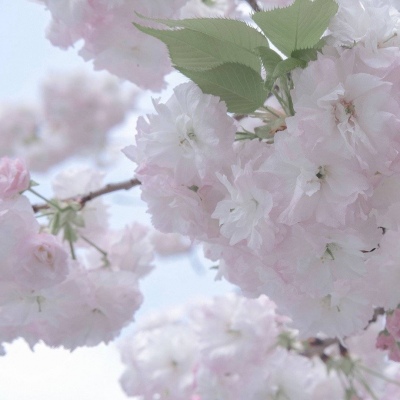 Furry绘画质感技巧福瑞交流群